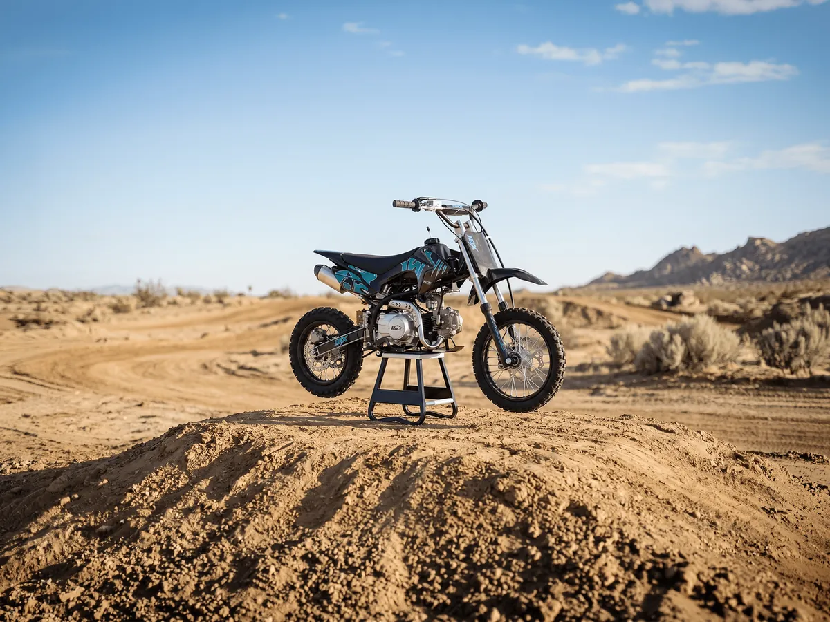 Ice Bear Roost 125cc fully automatic dirt bike, model PAD125-1F
